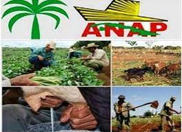 Felicidades Campesinos